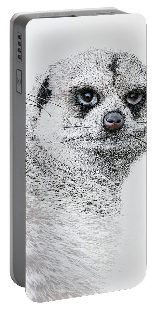 Meerkat Portable Battery Charger featuring the mixed media Meerkat, mixed media. by Tony Mills
