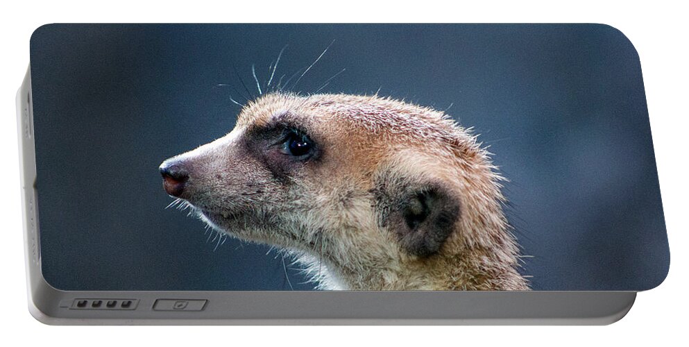 Meerkat Portable Battery Charger featuring the photograph Meerkat Mugshot by Sea Change Vibes