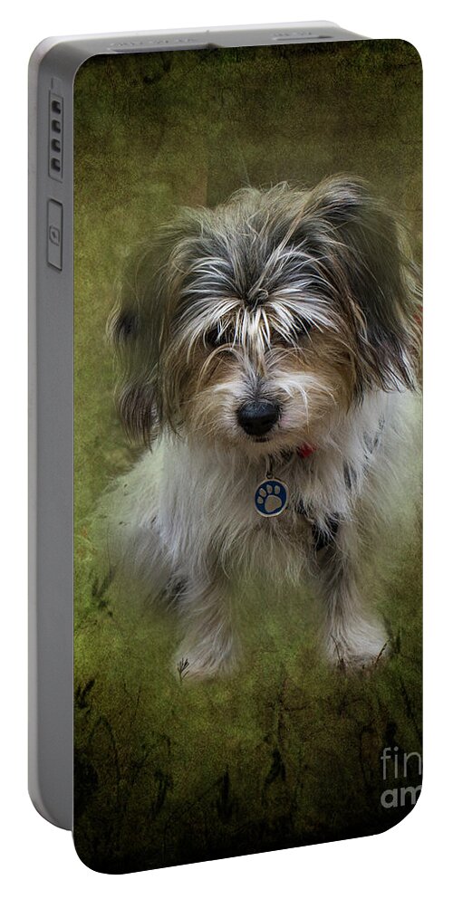 Westie Portable Battery Charger featuring the photograph Megan by Elaine Teague