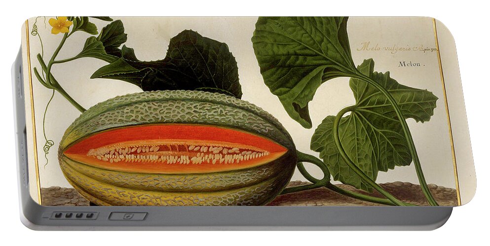 Melon Portable Battery Charger featuring the photograph Melon vine and fruit o2 by Botany