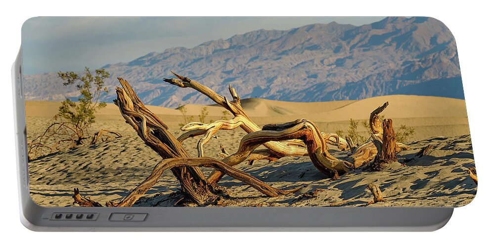 Landscape Portable Battery Charger featuring the photograph Mesquite by Jermaine Beckley