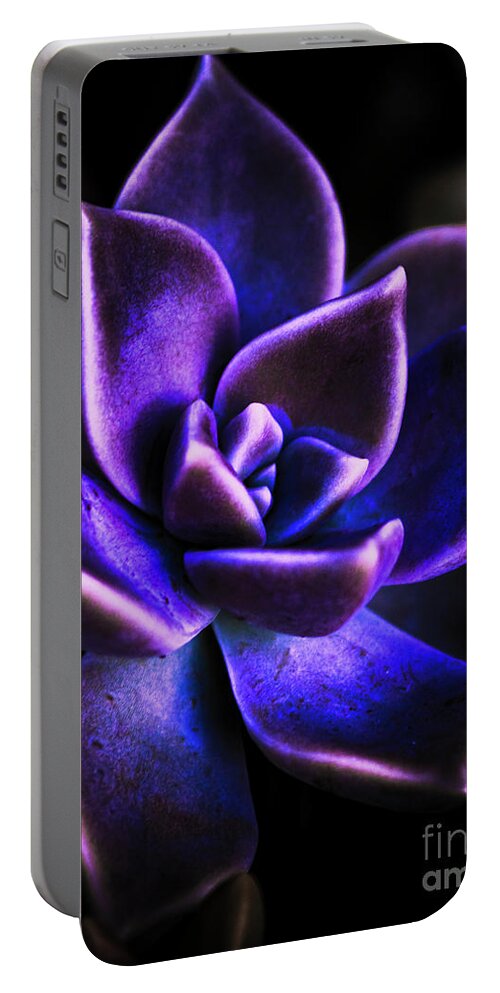 Plant Portable Battery Charger featuring the photograph Midnight desert details by Jorgo Photography