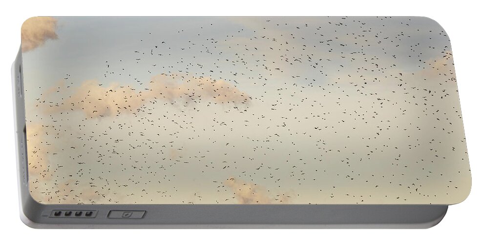 Animals Portable Battery Charger featuring the photograph MIgrating Birds In The Sky by Amelia Pearn