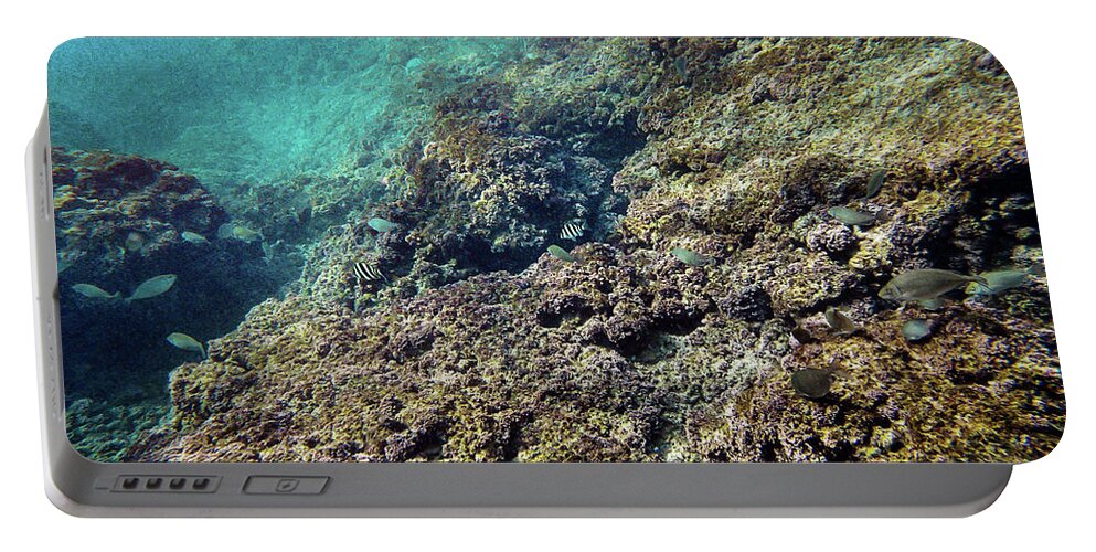 Dream Portable Battery Charger featuring the photograph Mikhmoret Reef II by Meir Ezrachi