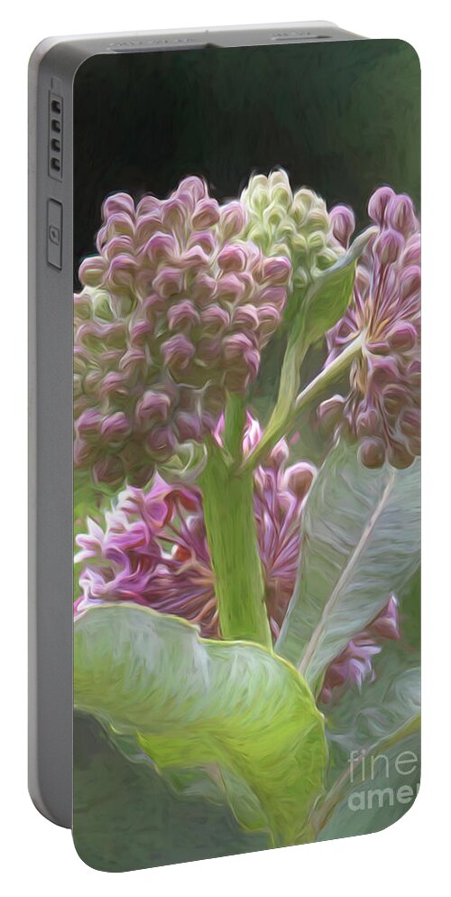 Milkweed Portable Battery Charger featuring the photograph Milkweed in Van Gogh Style by Lorraine Cosgrove
