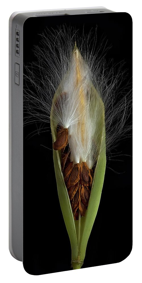 Milkweed Portable Battery Charger featuring the photograph Milkweed Pod 2 by Endre Balogh