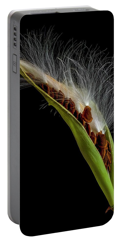 Milkweed Portable Battery Charger featuring the photograph Milkweed Pod 3 by Endre Balogh