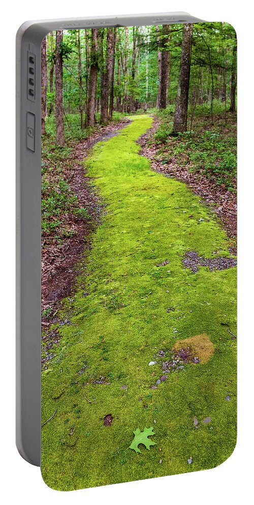 Trails Portable Battery Charger featuring the photograph Minisink Battleground Park Trail by Amelia Pearn