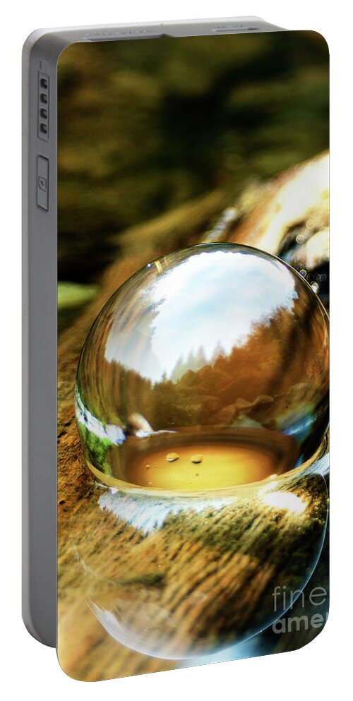 Lens Ball Portable Battery Charger featuring the photograph Mirror On The Log by Janie Johnson