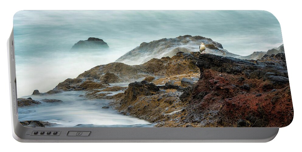 Cape Perpetua Portable Battery Charger featuring the photograph Mist along the coast by Izet Kapetanovic