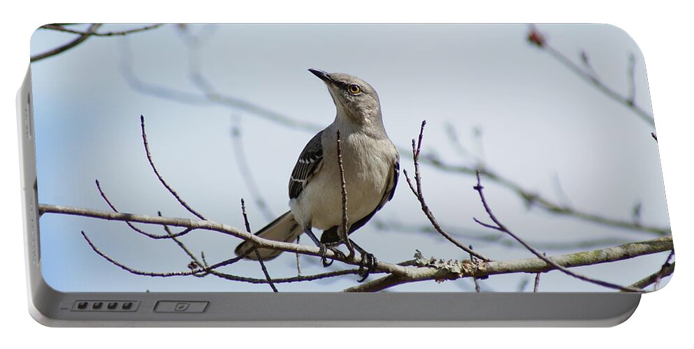  Portable Battery Charger featuring the photograph Mocking Gaze by Heather E Harman