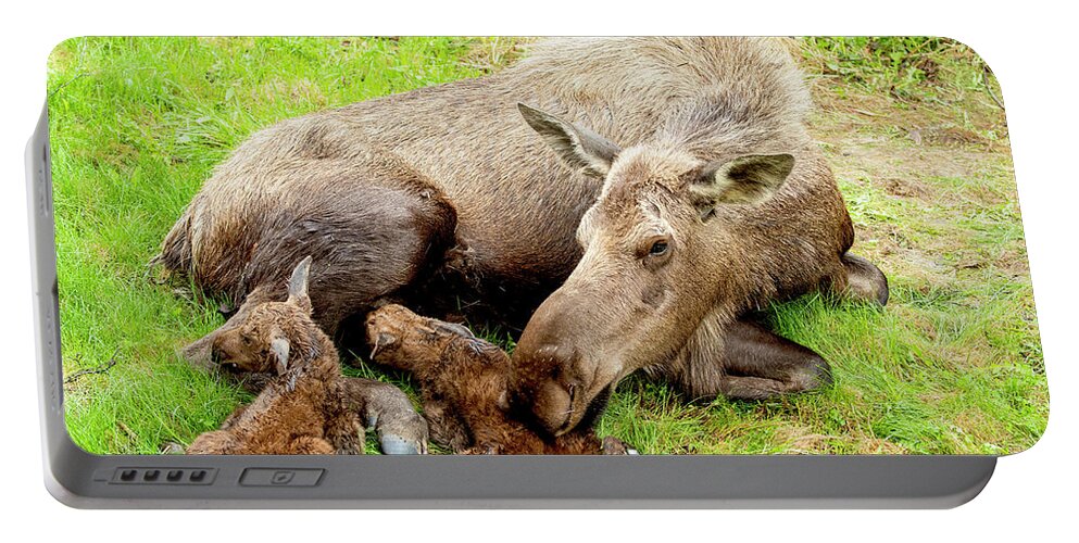 Natanson Portable Battery Charger featuring the photograph Mom and Babies by Steven Natanson