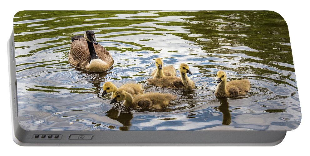 Waterfowl Portable Battery Charger featuring the photograph Mom and Goslings by Lorraine Cosgrove