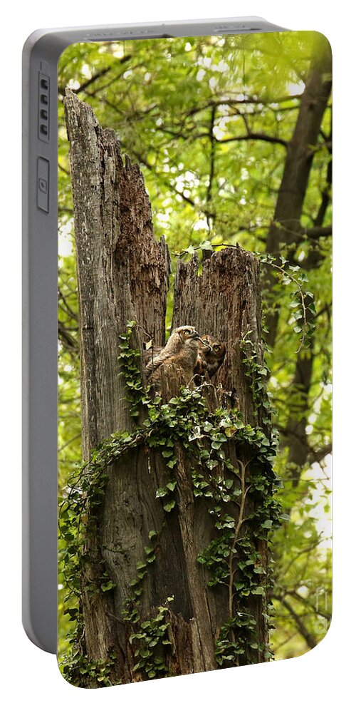 Great Horned Owls Portable Battery Charger featuring the photograph Mom could not believe her eyes by Heather King