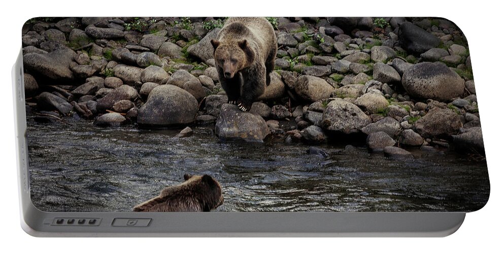 Grizzly Portable Battery Charger featuring the photograph Moma Bear Scolding Baby Bear by Craig J Satterlee