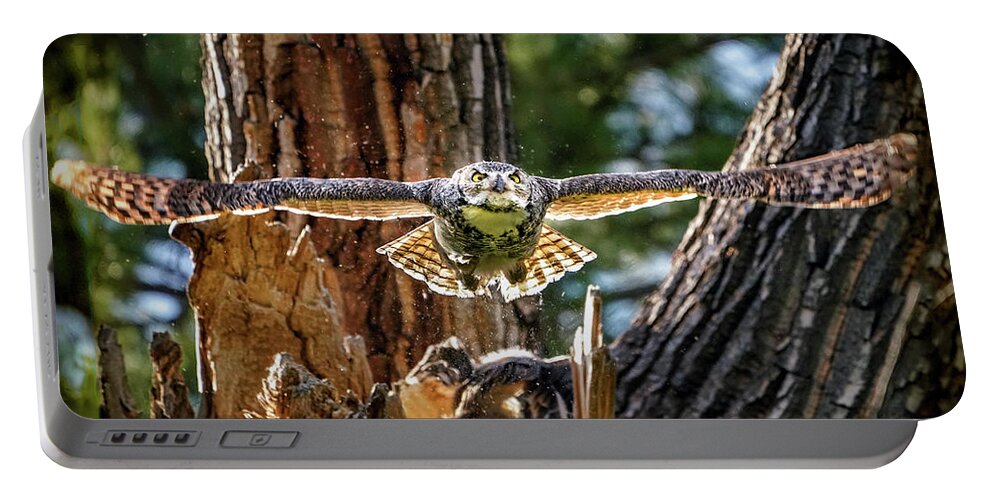 Great Horned Owls Portable Battery Charger featuring the photograph Momma Great Horned Owl Blasting out of the Nest by Judi Dressler