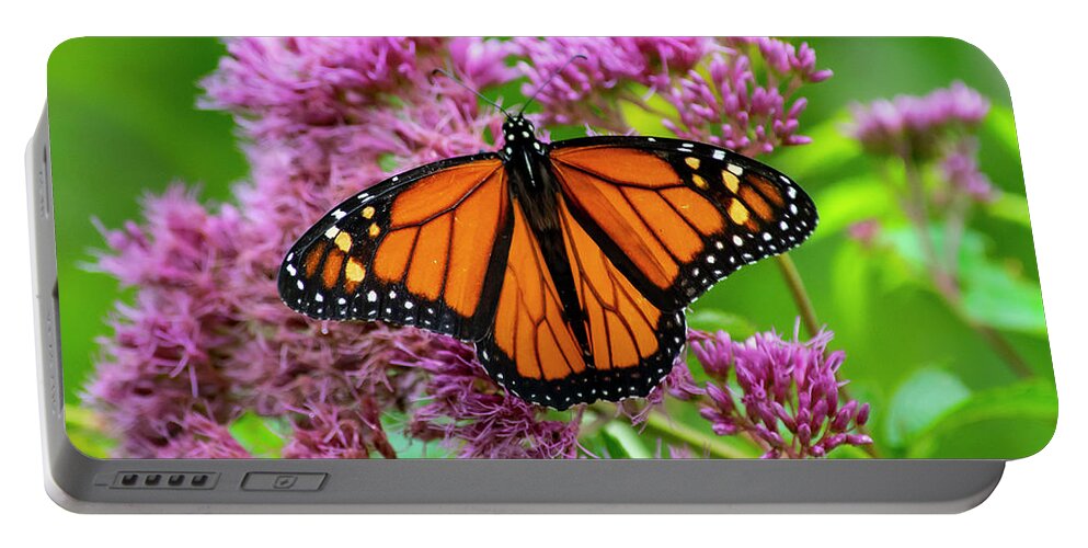 Nature Portable Battery Charger featuring the photograph Monarch Butterfly by Cathy Kovarik