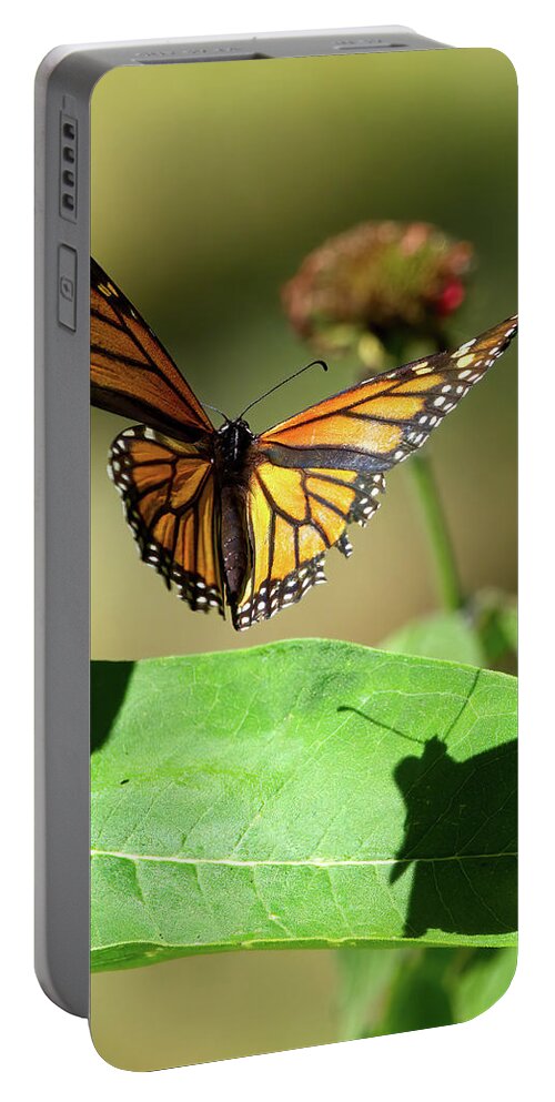 Monarch Portable Battery Charger featuring the photograph Monarch in Flight with Shadow by Flinn Hackett