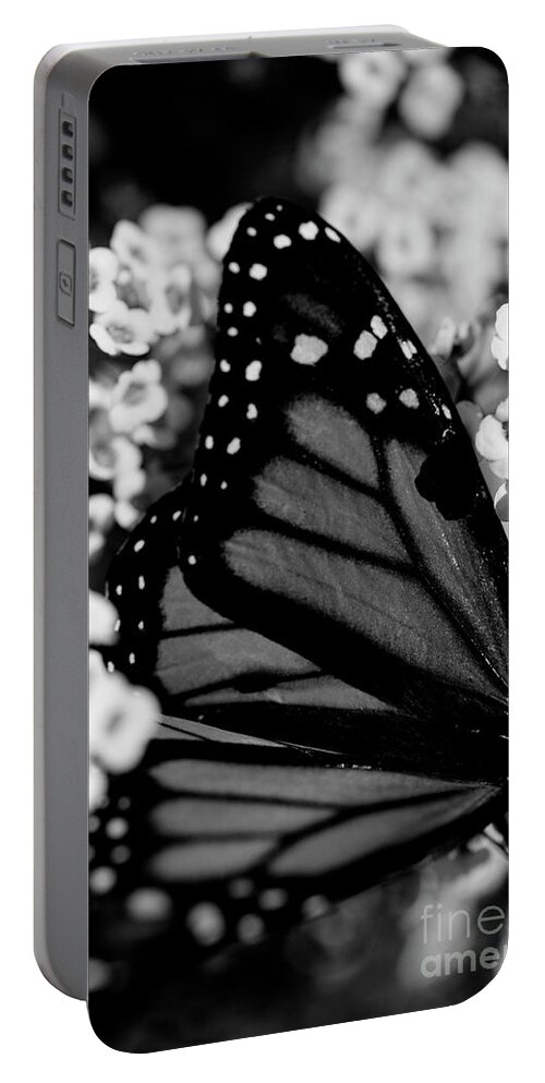 Butterfly Portable Battery Charger featuring the photograph Monarch Moment #2 by John F Tsumas
