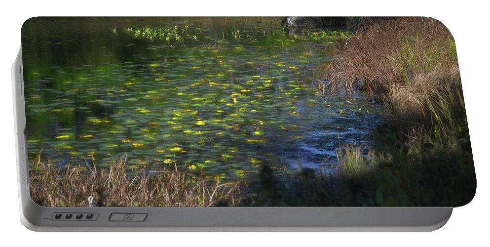 Monet Portable Battery Charger featuring the photograph Monetzia by Jim Signorelli