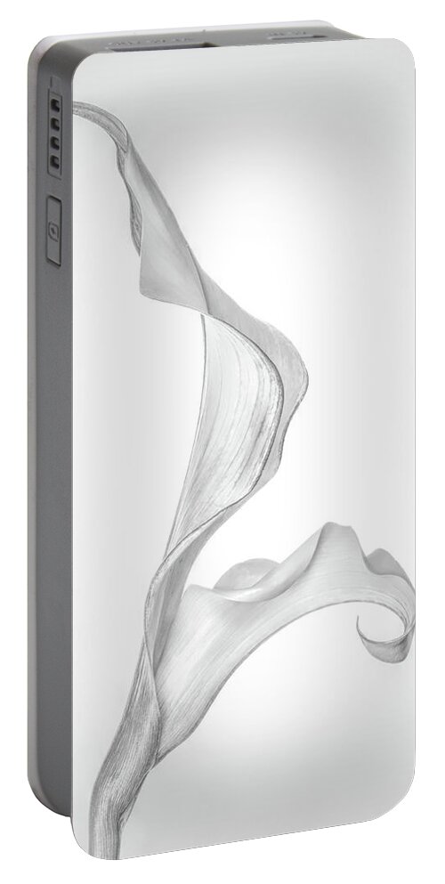 Calla Lily Portable Battery Charger featuring the photograph Monochromatic Calla Lily by Elvira Peretsman
