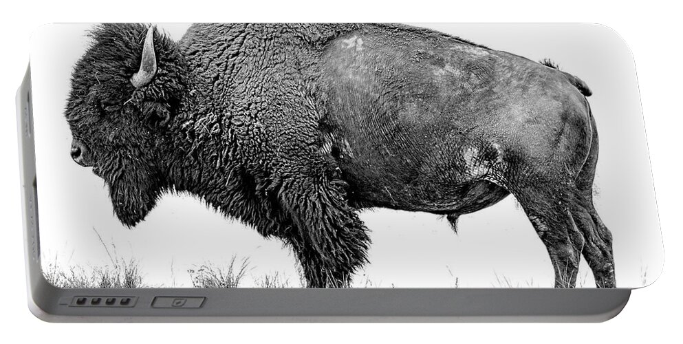 Fine Art Portable Battery Charger featuring the photograph Montana Bison, Fine Art Monotone Photograph by Greg Sigrist