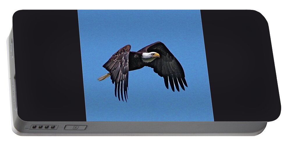 Eagle Portable Battery Charger featuring the photograph Montana Eagle by Dorsey Northrup