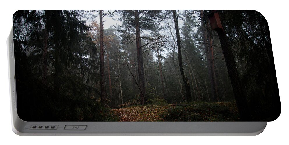 Autumn Portable Battery Charger featuring the photograph Moody Autumn Forest Scene by Nicklas Gustafsson