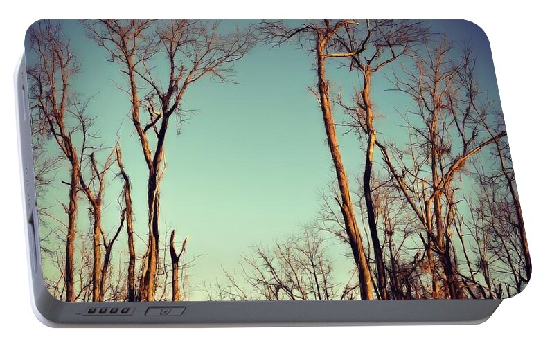 Moon Portable Battery Charger featuring the photograph Moon Between The Trees by Kerri Farley