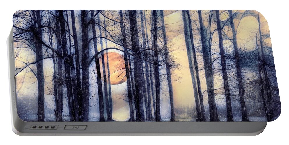 Carolina Portable Battery Charger featuring the photograph Moonglow in the Winter by Debra and Dave Vanderlaan