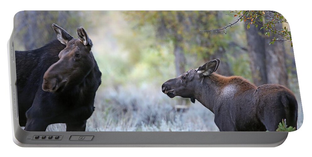 Moose Portable Battery Charger featuring the photograph Moose Cow and Calf Four by Jean Clark