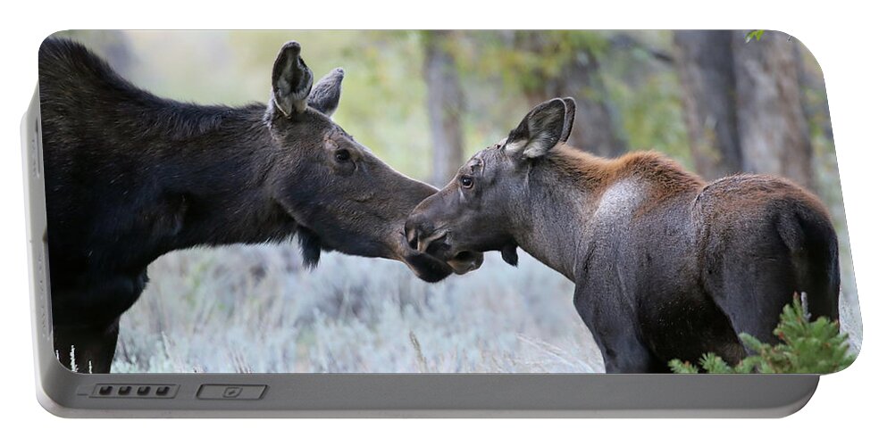 Cow Portable Battery Charger featuring the photograph Moose Cow and Calf One by Jean Clark