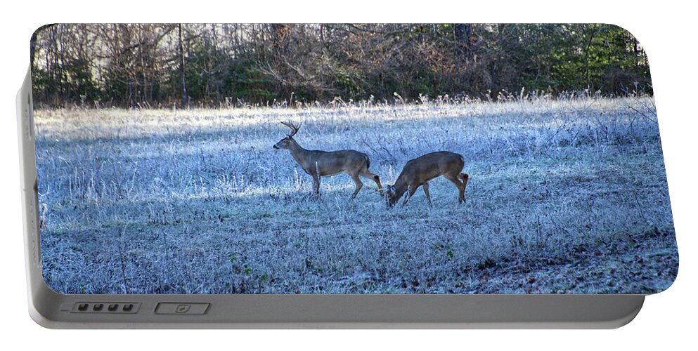 Cades Cove Portable Battery Charger featuring the photograph More Deer Grazing by Phil Perkins