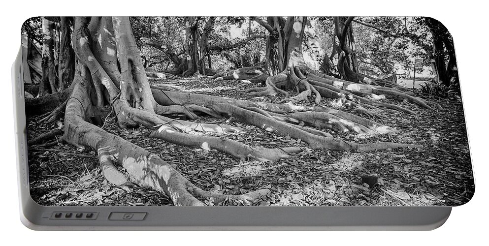 Horizontal Portable Battery Charger featuring the photograph Moreton Bay Fig Trees by Mike-Hope by Mike-Hope
