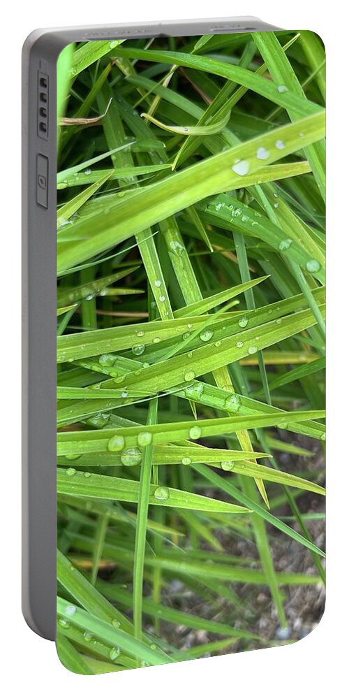 Dew Drops Portable Battery Charger featuring the photograph Morning Dew by Nancy Merkle