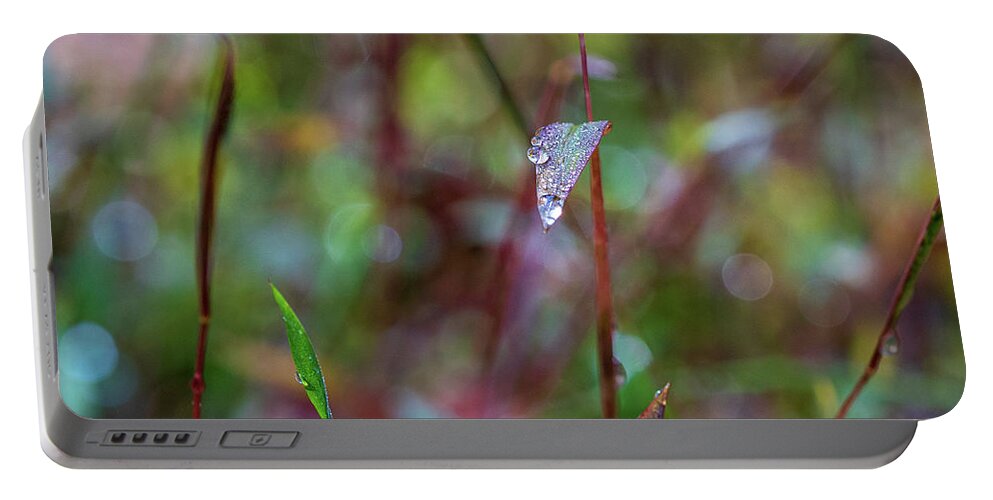 Water Drops Portable Battery Charger featuring the photograph Morning Dew on Grass by Amelia Pearn