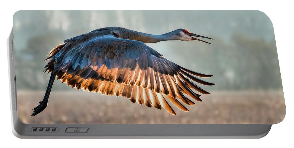 Crane Portable Battery Charger featuring the photograph Morning Flight by Brad Bellisle