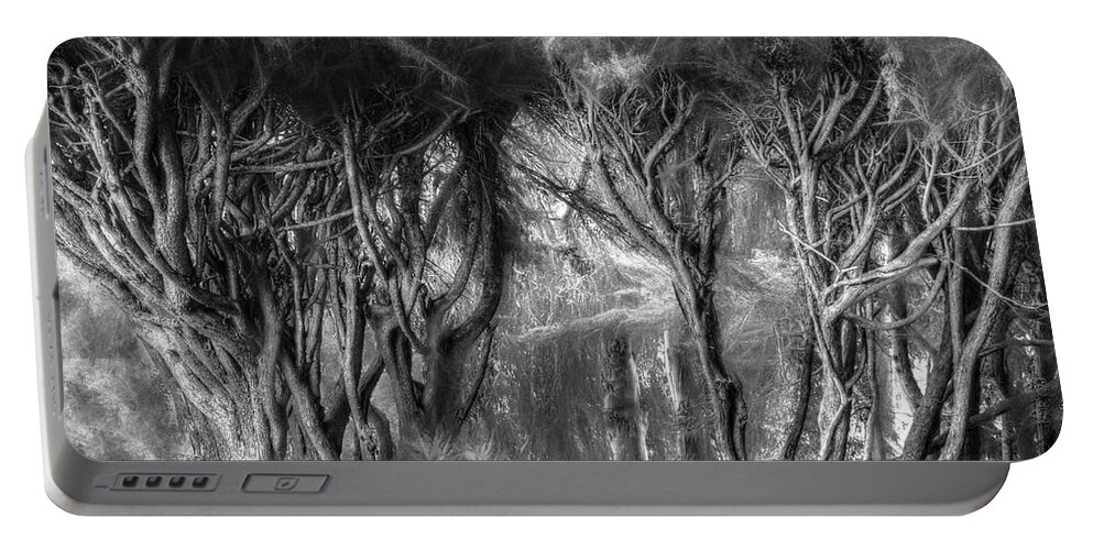 California Portable Battery Charger featuring the photograph Morning Light in the Bay Forest by Wayne King