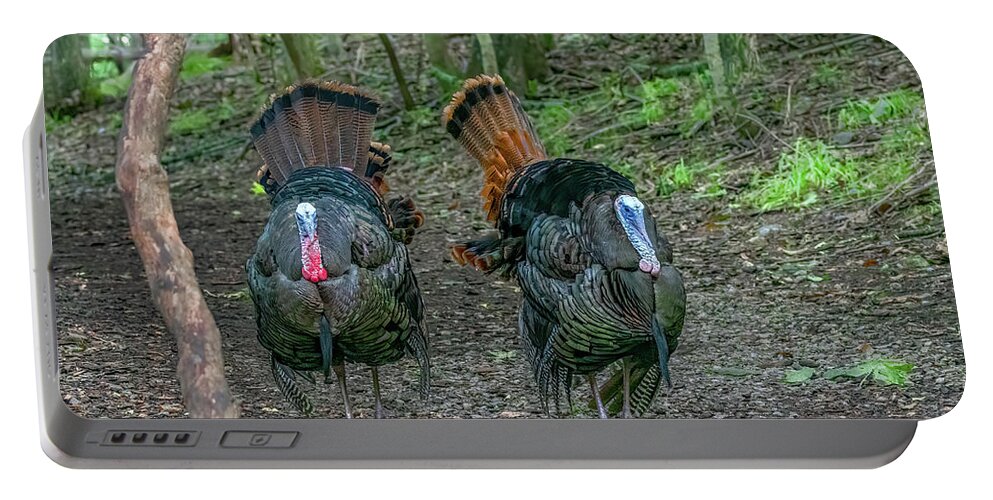 Wild Turkeys Portable Battery Charger featuring the photograph Morning Stroll in the Woods by Marcy Wielfaert