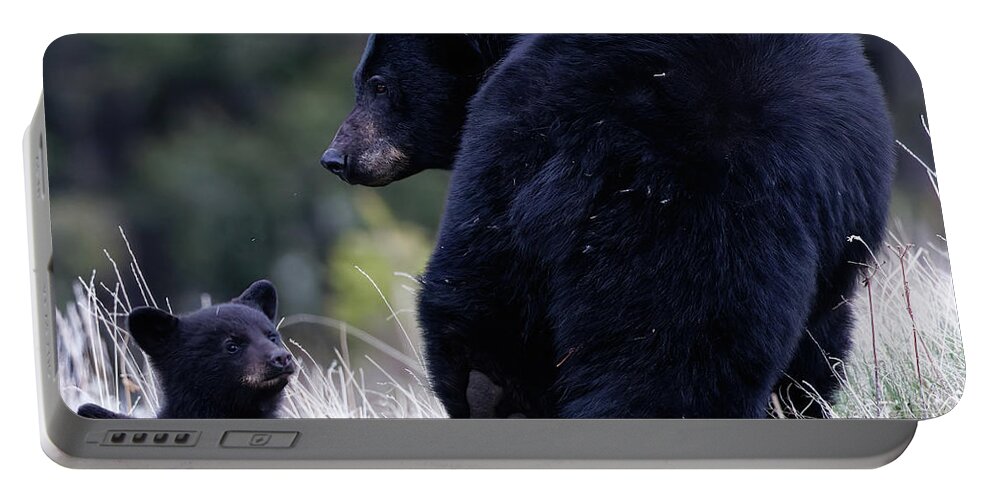 Black Bear Portable Battery Charger featuring the photograph Mother and Cub by Natural Focal Point Photography