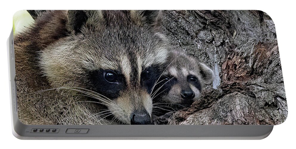 Animal Portable Battery Charger featuring the photograph Mother and Son by Gina Fitzhugh
