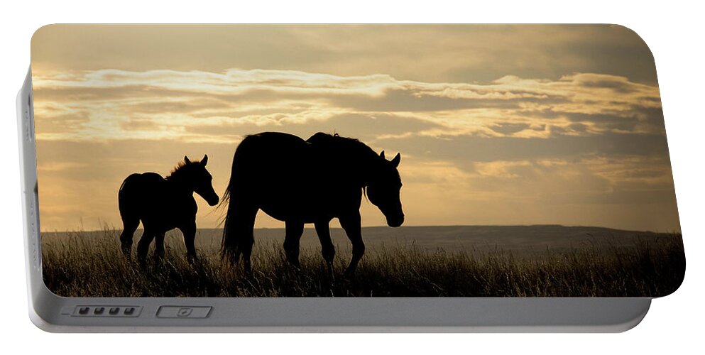 Horses Portable Battery Charger featuring the photograph Mother Horse and Foal in sunset by Naomi Maya