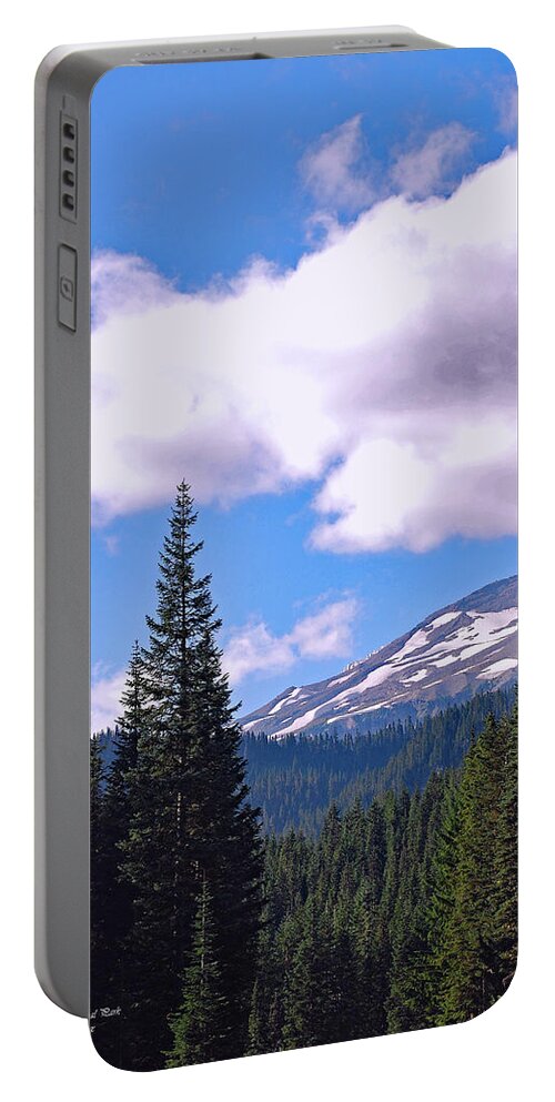 Glaciers Portable Battery Charger featuring the photograph Mount Rainier National Park by Connie Fox