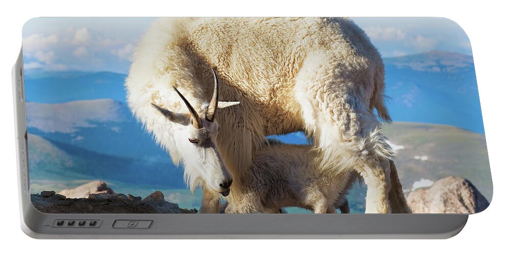 Mountain Goats Portable Battery Charger featuring the photograph A Nanny Goat and Her Baby Mountain Goat by OLena Art