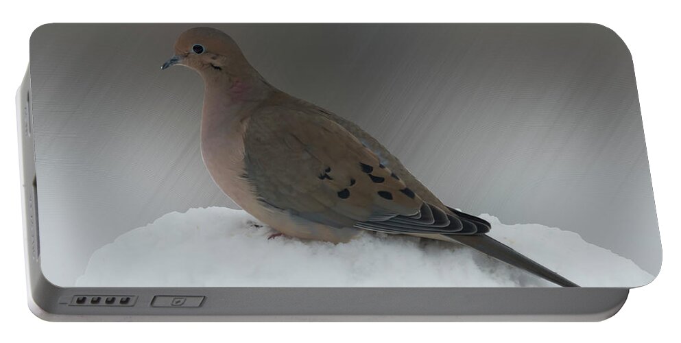 Bird Portable Battery Charger featuring the photograph Mourning Dove by Leslie Montgomery