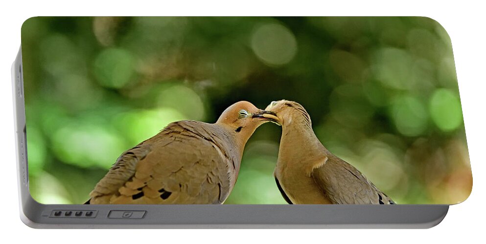 Zenaida Macroura Portable Battery Charger featuring the photograph Mourning Doves Kissing - Foreplay by Amazing Action Photo Video