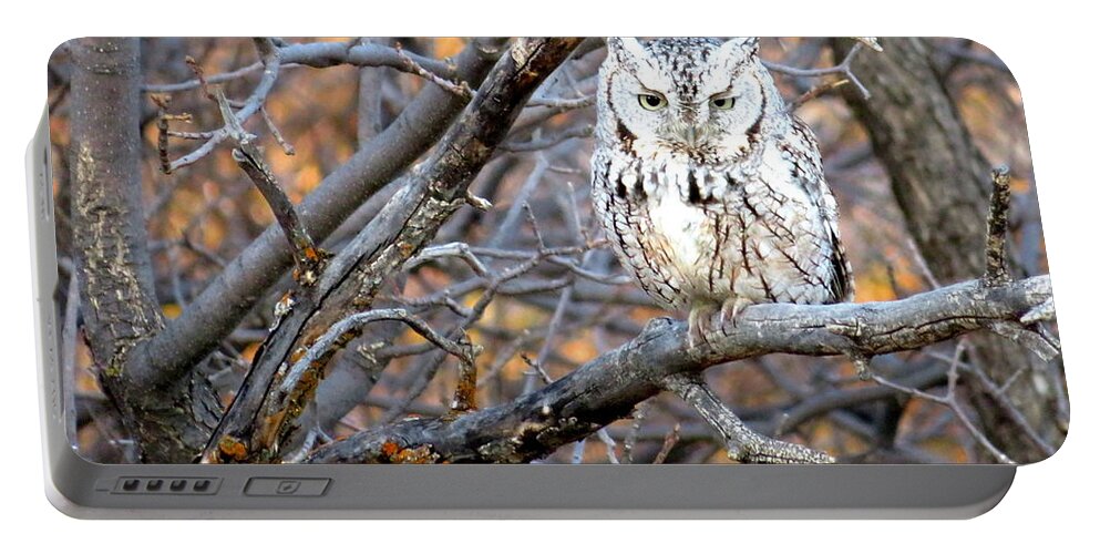 Owl Portable Battery Charger featuring the photograph Mouser Extraordinaire by Katie Keenan