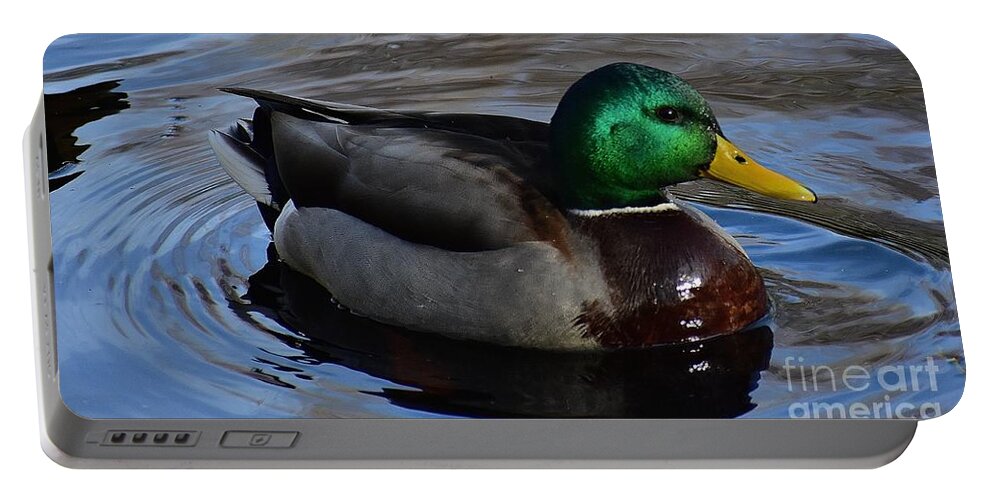 Duck Portable Battery Charger featuring the photograph Mr. Mallard by Jimmy Chuck Smith