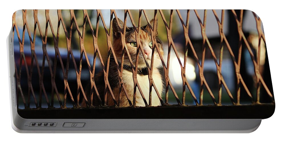 Liza Portable Battery Charger featuring the photograph Mrs Cat is sitting behind rusted fence and look at me with her magical and wonderful green eyes and looks like queen of cats. She know that she is the best. by Vaclav Sonnek