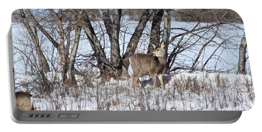 Mule Deer Portable Battery Charger featuring the photograph Mule Deer by Ann E Robson